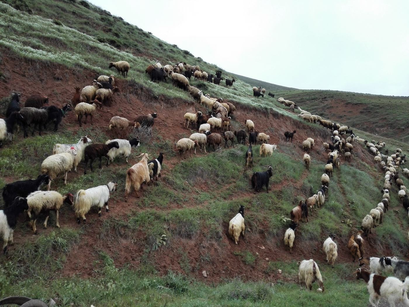 Road and landscape on the way to Alamut Fortress, Iran